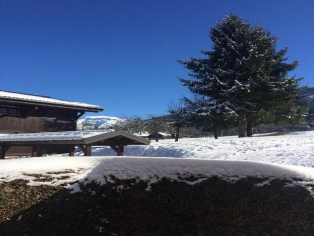 CHALET DU PRAZ - Morillon Village