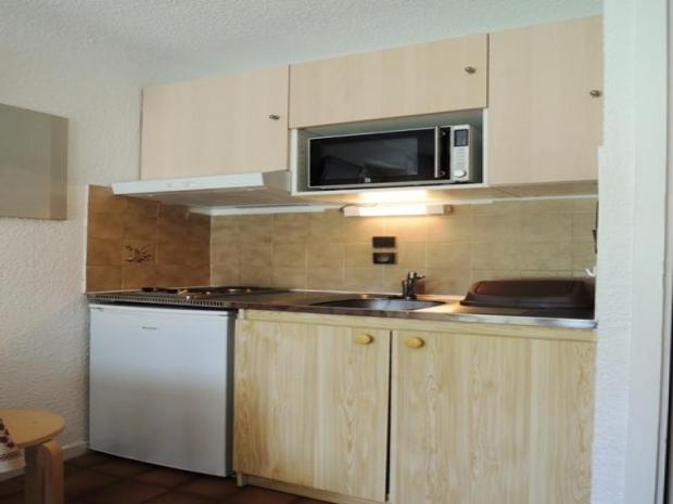 Appartement Le Perce Neige - Châtel