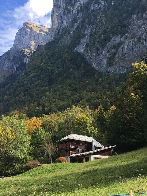 La Marmotte 4890606 - Samoëns