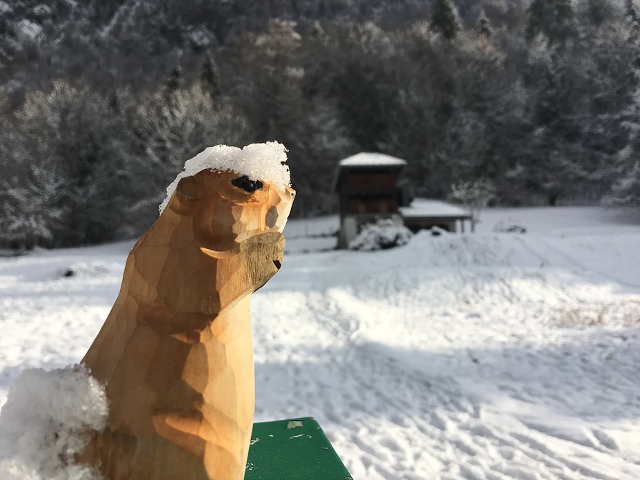 La Marmotte 4890606 - Samoëns