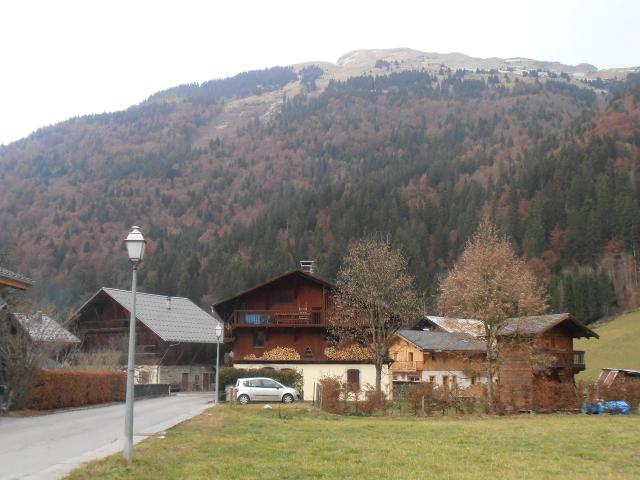 Le Creux du By 169078 - Samoëns