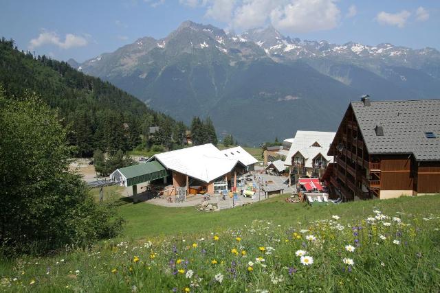 Les Cristaux 64336 - Oz en Oisans