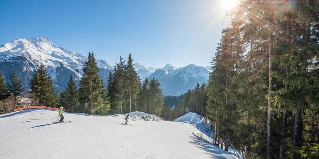 Appartements ANCOLIE - HAUTS DE PLANCHAMP - Plagne - Champagny en Vanoise