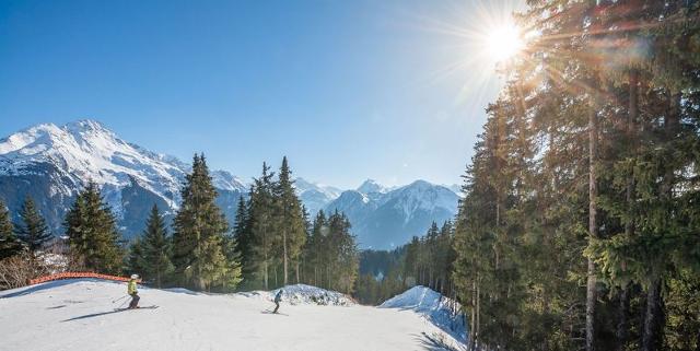 Appartements LES ALPAGES - Plagne - Champagny en Vanoise