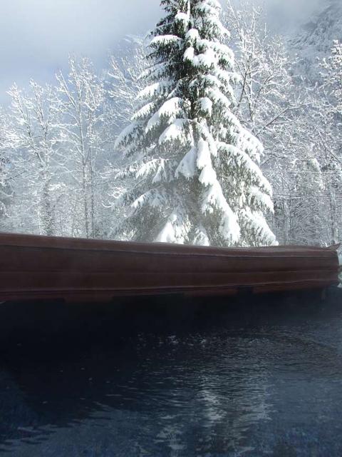 Les Fontaines - Tuet 210298 - Samoëns