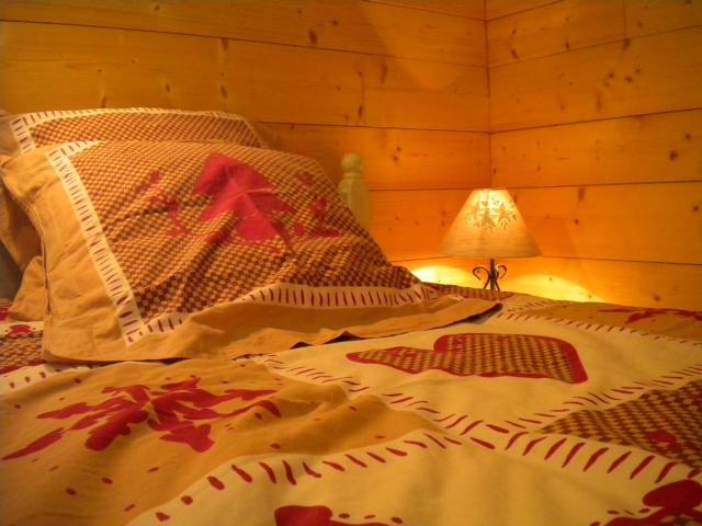 Le Sabot de Venus 205691 - Samoëns