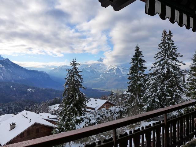 Chalet 2 pièces 4 personnes Confort CH1884.583.1 - Villars - sur - Ollons 