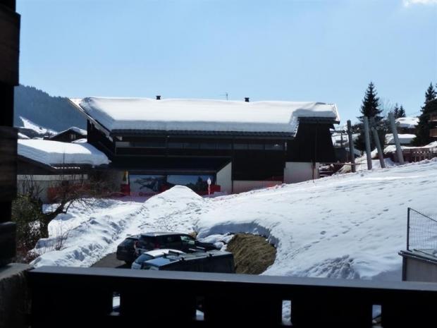 ADRAY N°11 - Les Gets