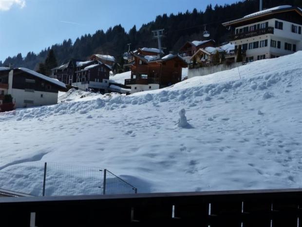 ADRAY N°11 - Les Gets