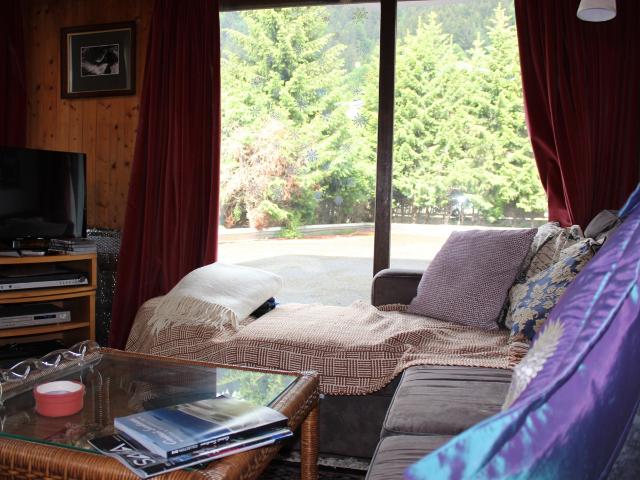 PIED DE L'ADROIT N°28 - Les Gets