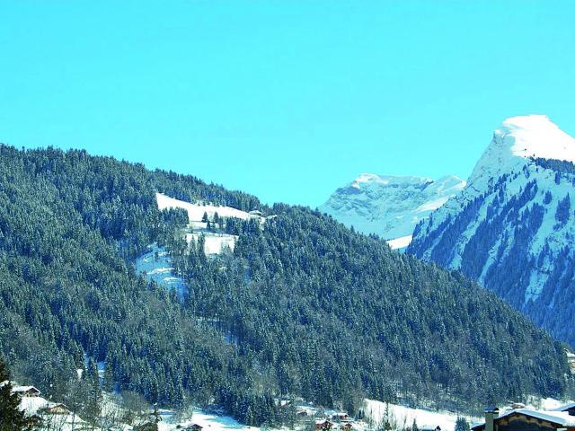 2 pièces 5 personnes FR7470.604.1 - Morzine