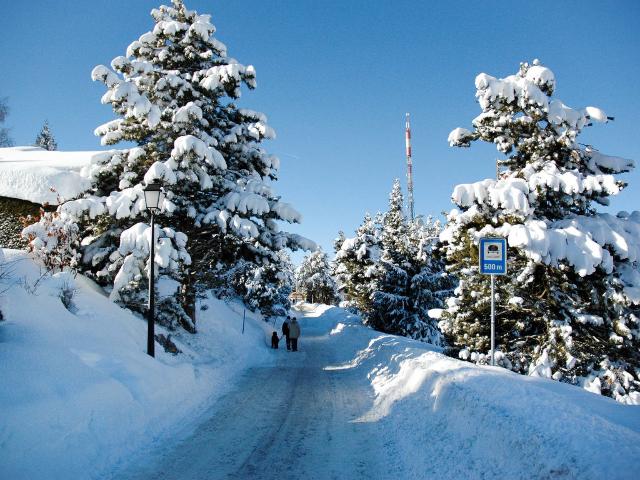 5 pièces 8 personnes CH1961.699.1 - Nendaz