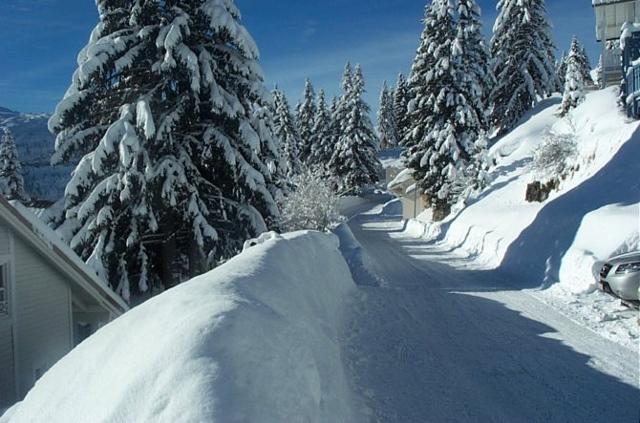 Les Chalets de Chloé - Flaine Le Hameau 1800