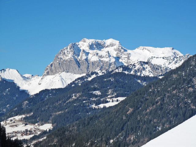 2 pièces 4 personnes FR7485.602.1 - Châtel