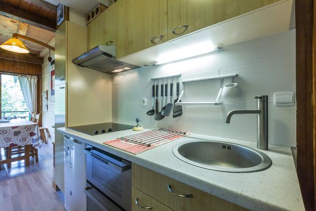 Appartements Piste Verte Anapurna - La Clusaz