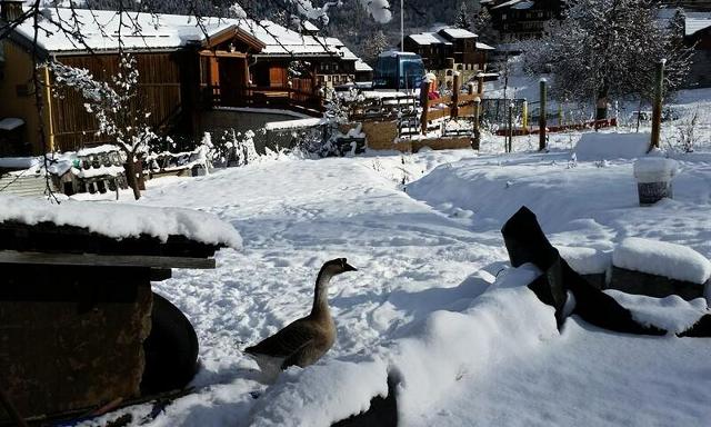 Résidence Lesterelle - Plagne - Montchavin 