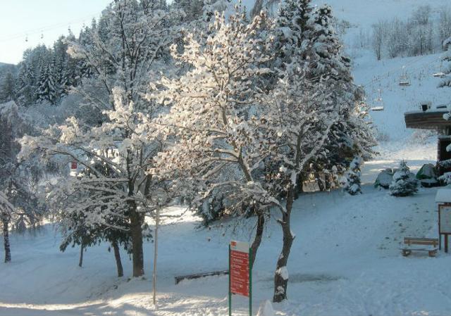 Appartements Ski & Soleil Phénix - Le Corbier