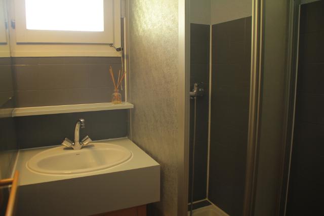 Appartements LES BICHES - Châtel