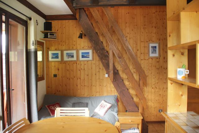 Appartements LES BICHES - Châtel