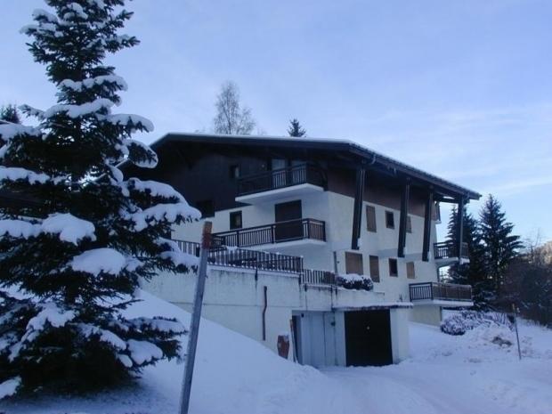Location Appartement 2 pièces MEGEVE ROCHEBRUNE - Megève