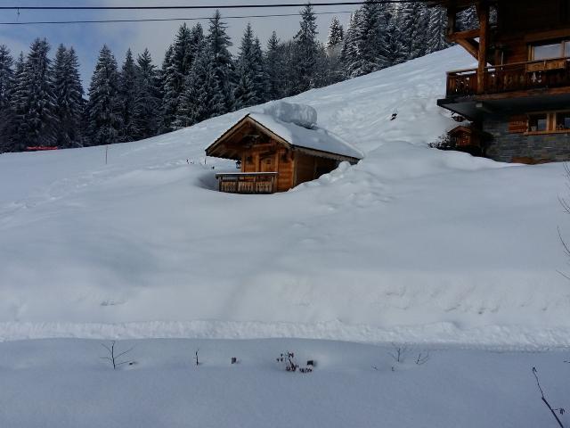 LONGUES POSES - Les Gets