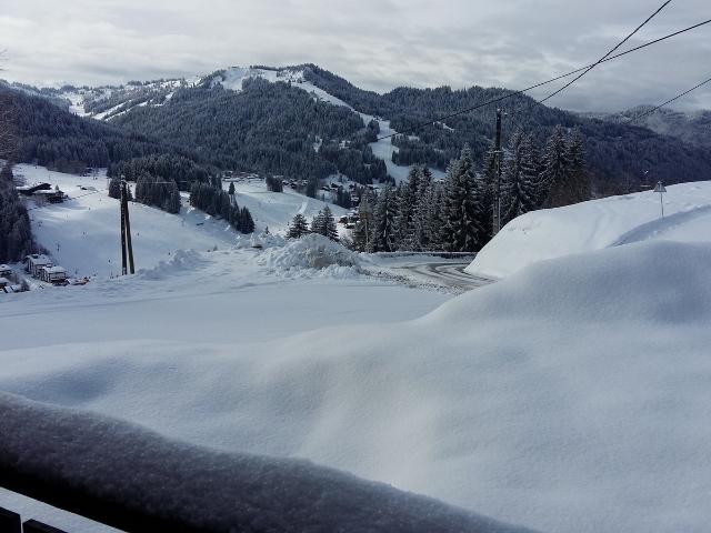 LONGUES POSES - Les Gets