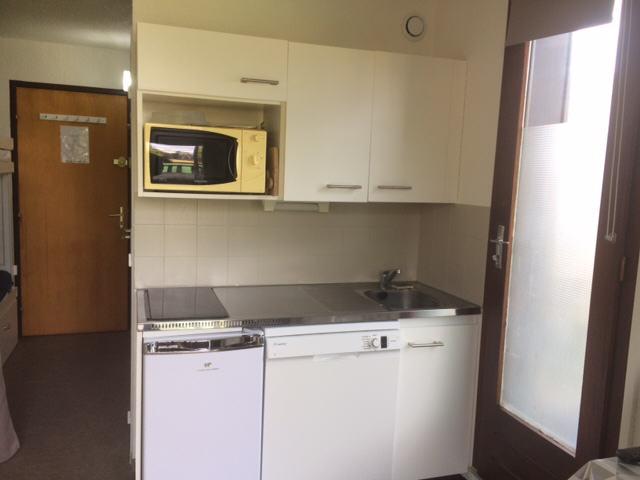 Appartement Cristal A RSL100-33A - Risoul 