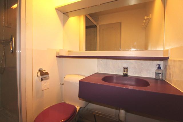 Ours blanc (l') 65279 - Alpe d'Huez