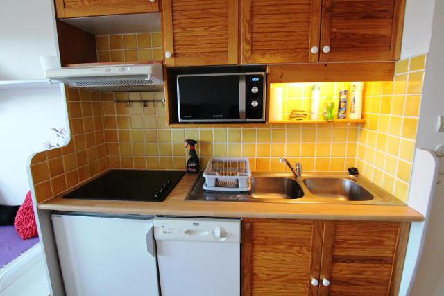 Ours blanc (l') 65279 - Alpe d'Huez