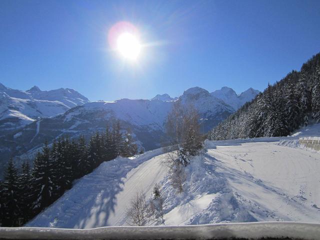 Appartements Silenes / 14 Rue De Piegut - Auris en Oisans