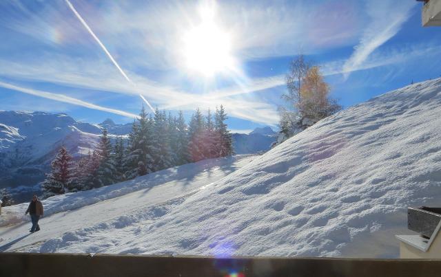 Appartements Silenes / 14 Rue De Piegut - Auris en Oisans