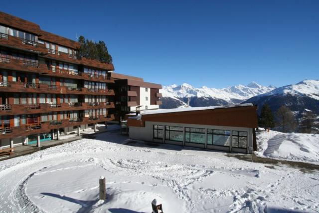Appartements pied de pistes à Thyon - Thyon