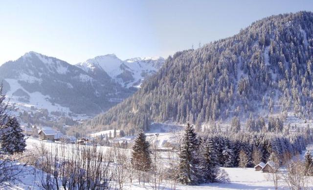 Appartements LES CHAMPS FLEURIS - Châtel