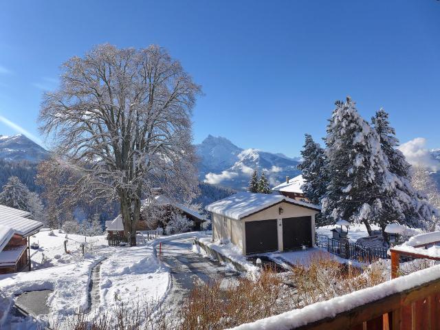 Chalet 5 pièces 8 personnes Confort CH1884.21.1 - Villars - sur - Ollons 