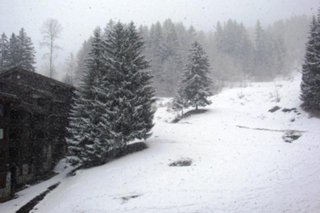 Appartements Pierrer G - Valmorel