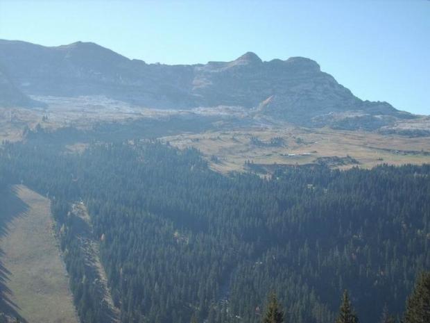 ANDROMEDE - Flaine Forêt 1700