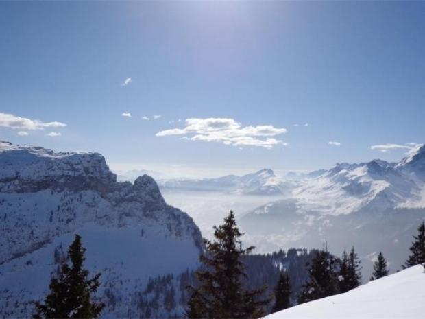 GEMEAUX - Flaine Forêt 1700