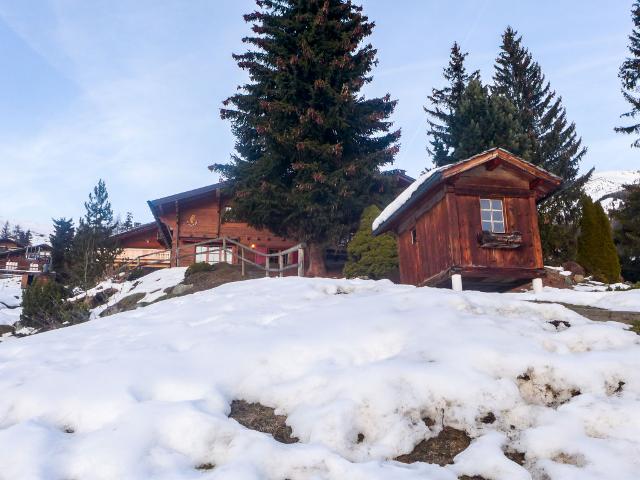 Appartement Ourson CH1935.136.1 - Bagnes - Verbier