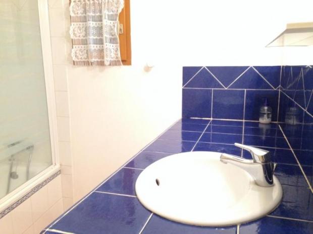 Anthemis - Les Angles