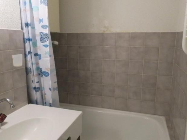 Appartement Les Avenières - Châtel