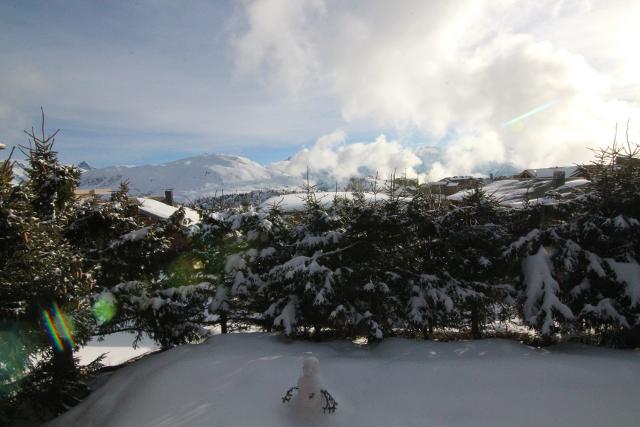 Zinngoulaou (le) 40260 - Alpe d'Huez