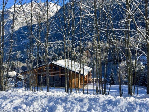 Chalet Vaudagne - Les Houches