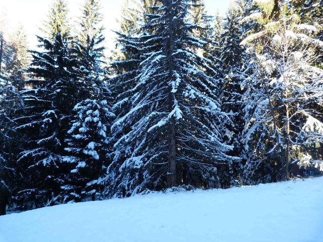 Appartements Aiguille Grive Bat I - Les Arcs 1800
