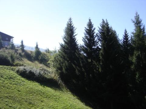 Appartements Aiguille Grive Bat I - Les Arcs 1800