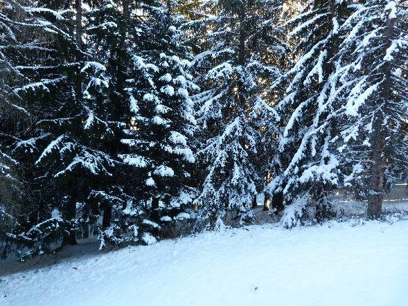 Appartements Aiguille Grive Bat I - Les Arcs 1800