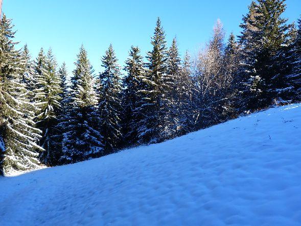 Appartements Aiguille Grive Bat I - Les Arcs 1800