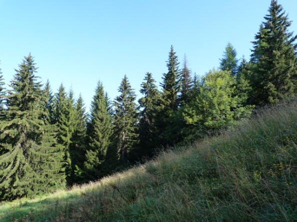 Appartements Aiguille Grive Bat I - Les Arcs 1800