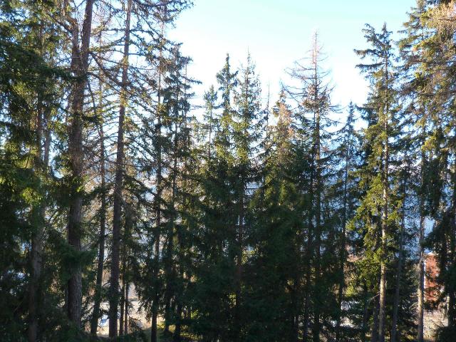 Appartements Alliet - Les Arcs 1800