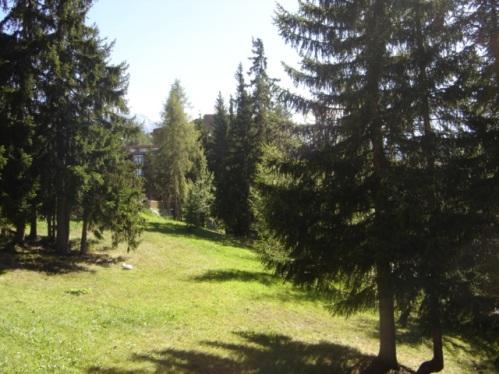 Appartements Archeboc - Les Arcs 1800