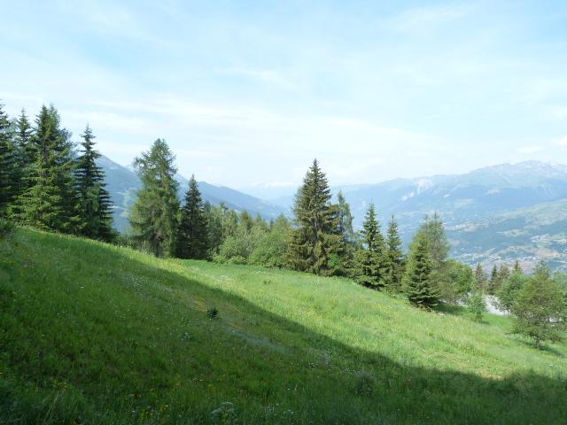 Appartements Armoise - Les Arcs 1800